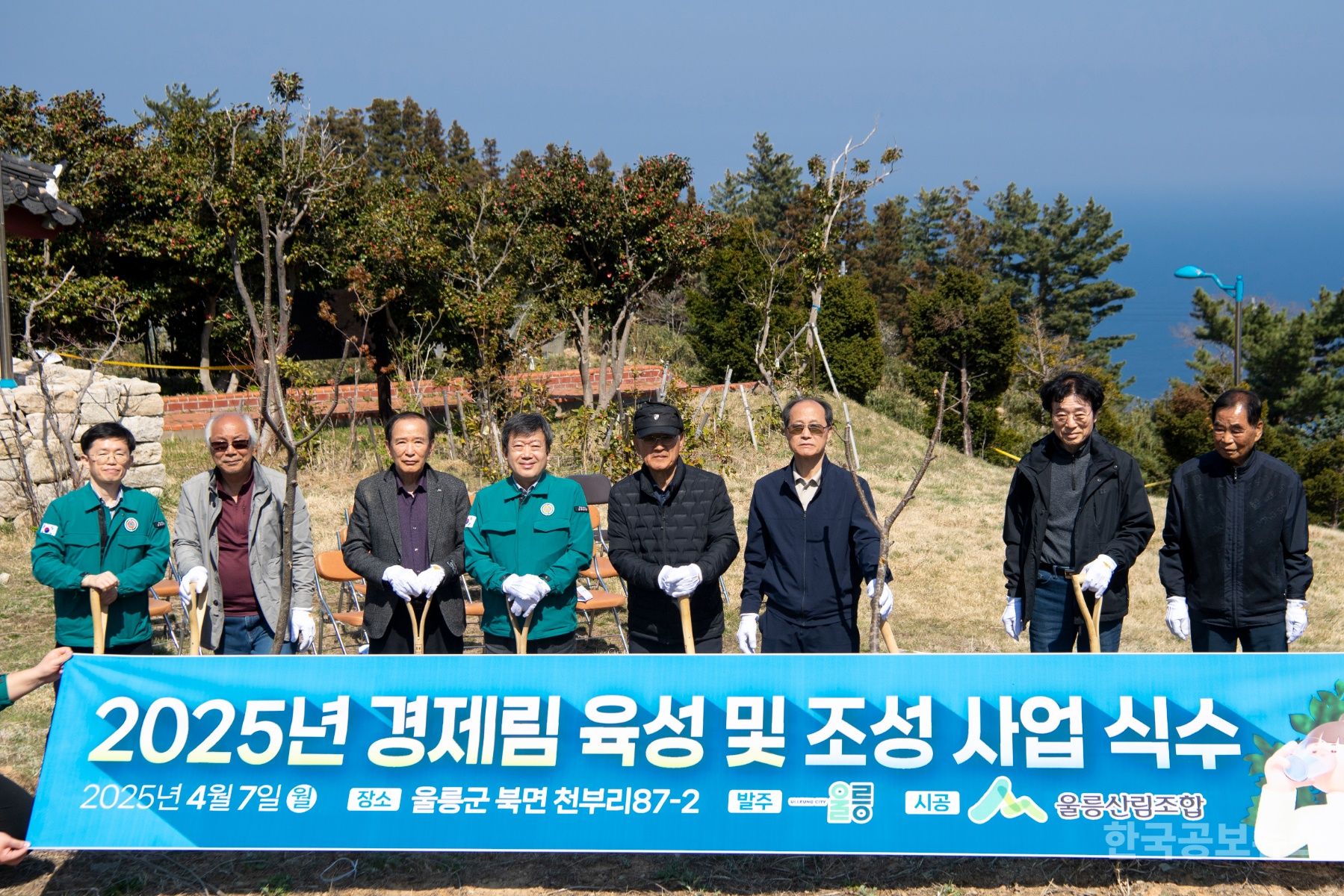 울릉군, 경제림조성사업 마가목 묘목 식수 행사 개최 기사 사진