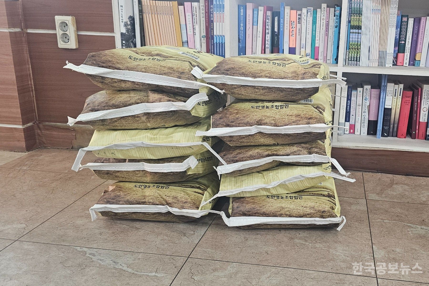 기사 사진