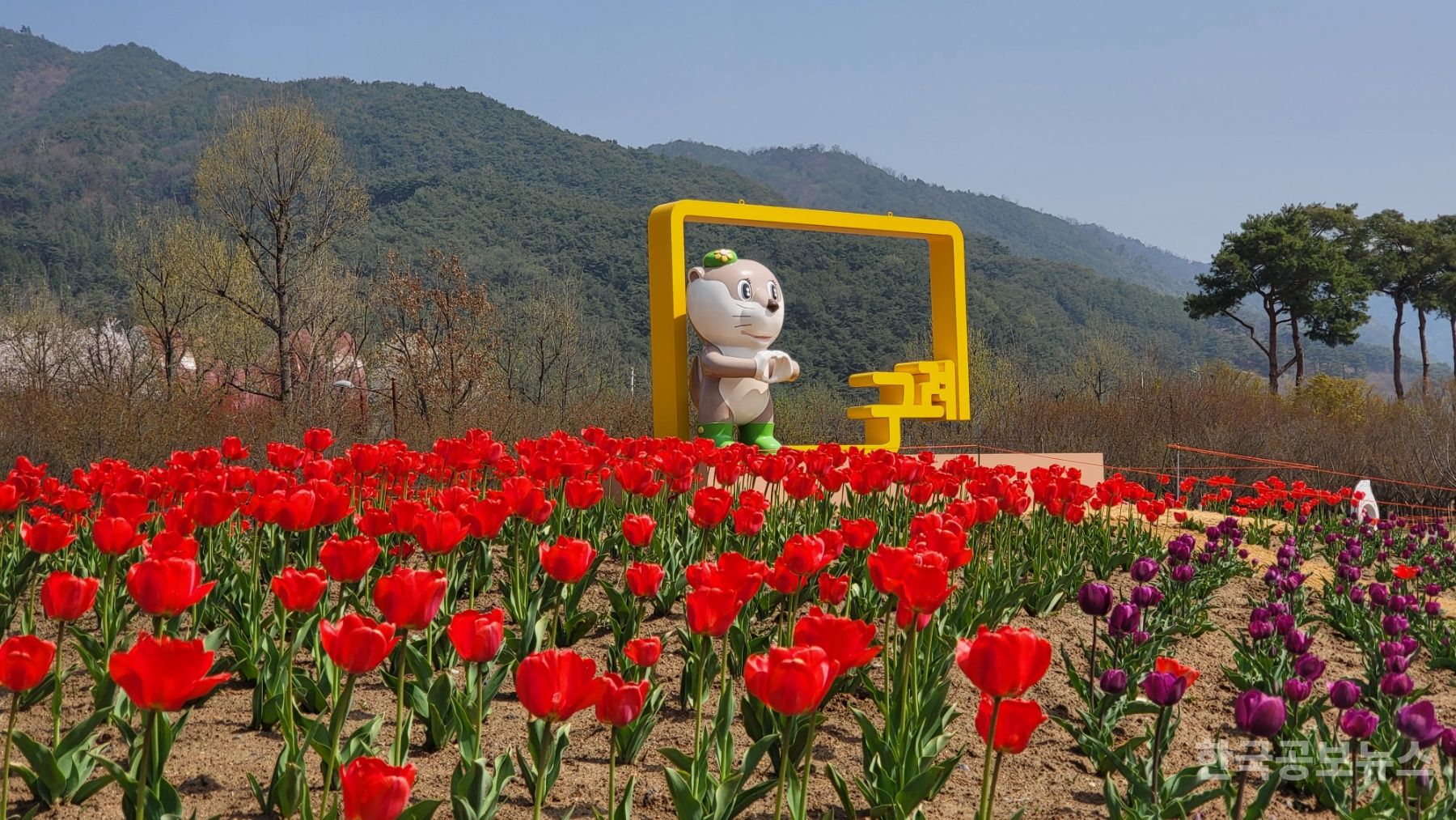 기사 사진