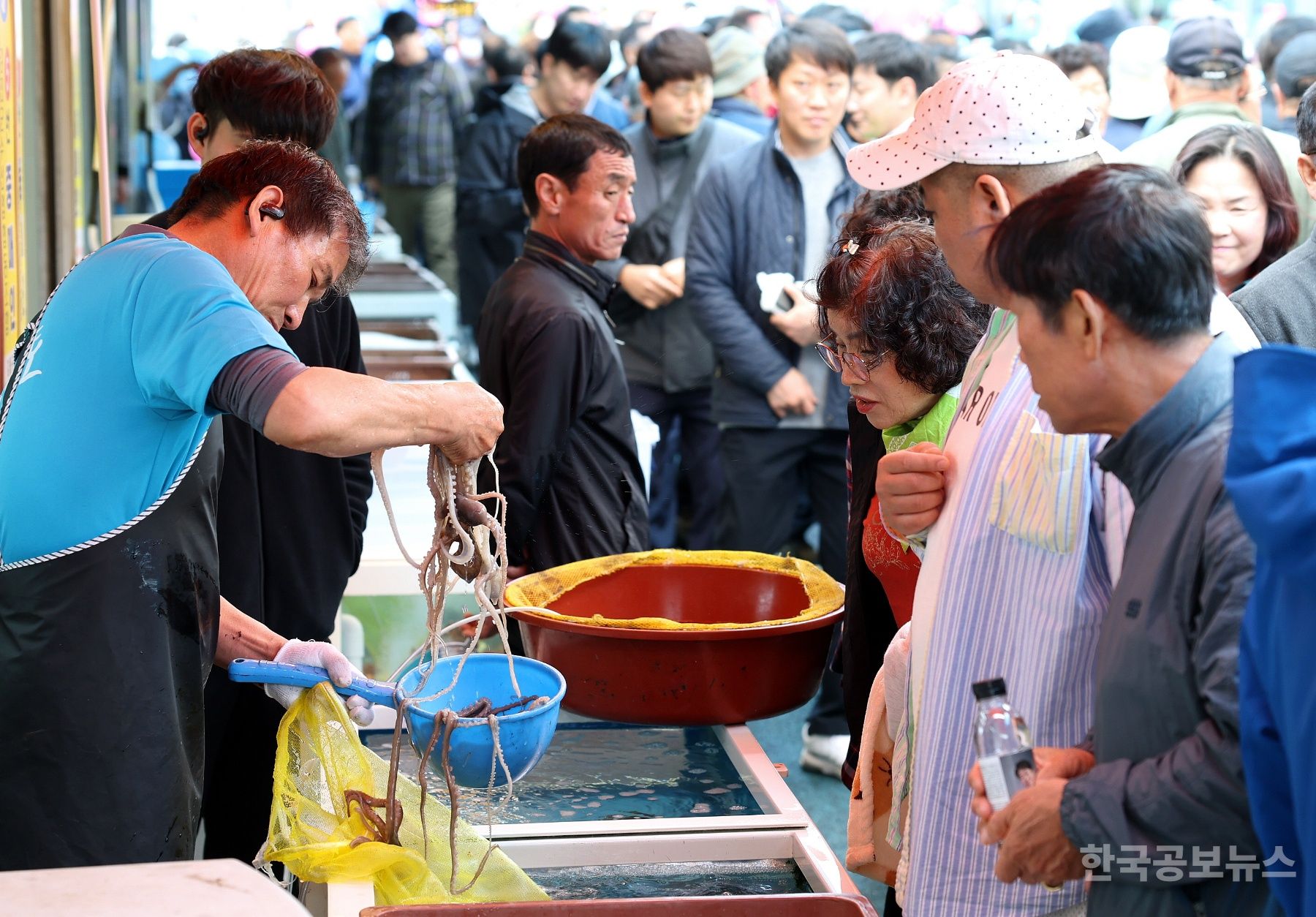 강진 마량놀토수산시장 개장 기사 사진