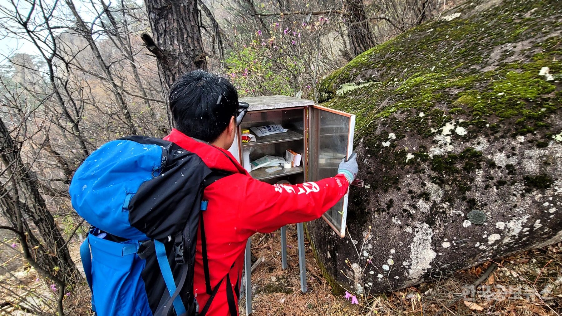 기사 사진