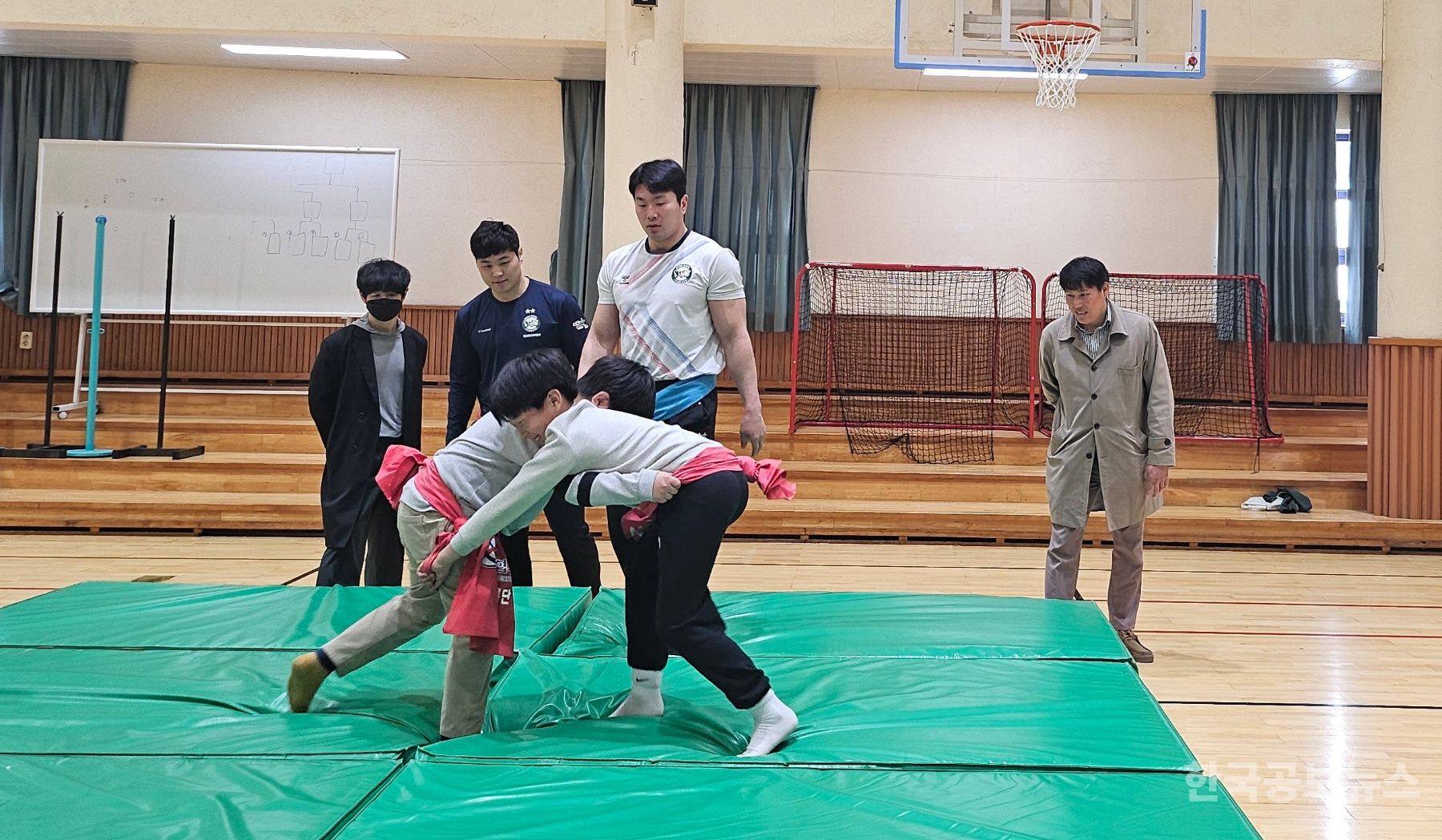 기사 사진