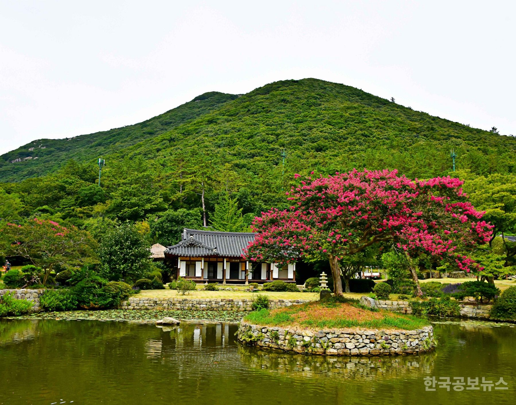 기사 사진