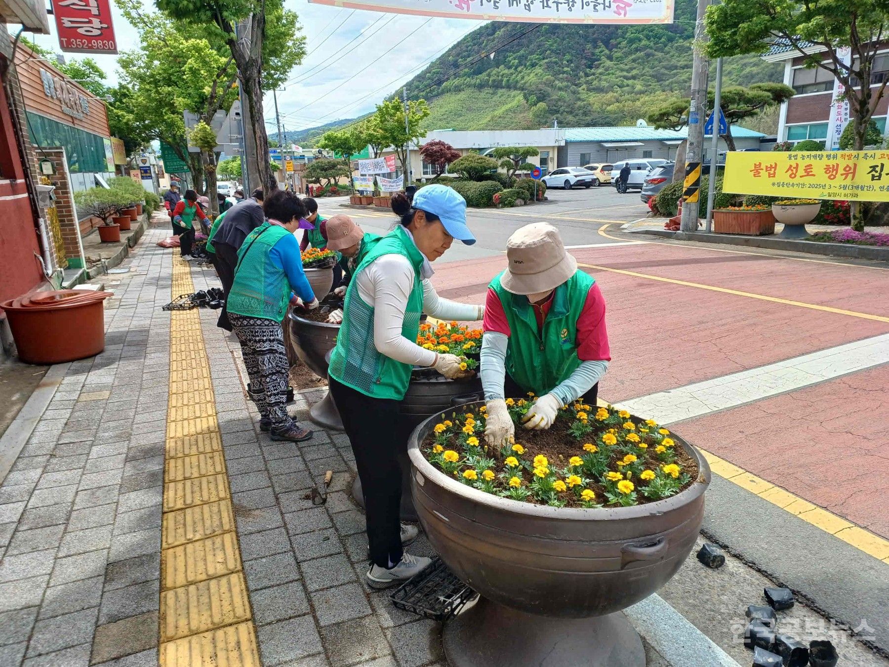 기사 사진