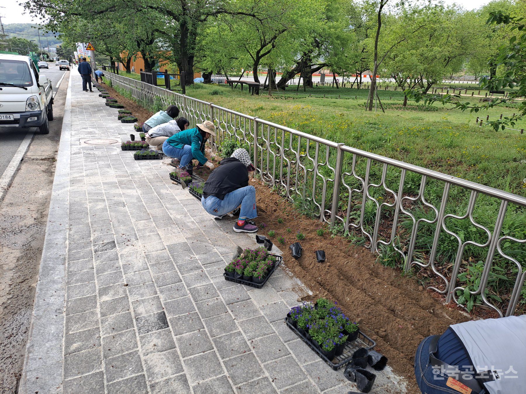 성주읍, 시가지 연도변 꽃길조성 기사 사진