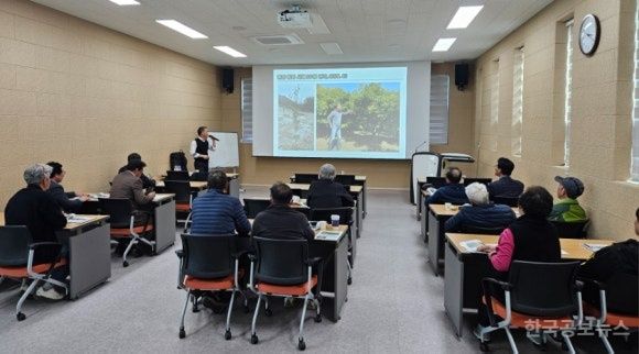 진도군 농업기술센터, 고품질 유자 생산을 위한 현장 컨설팅 추진 기사 사진