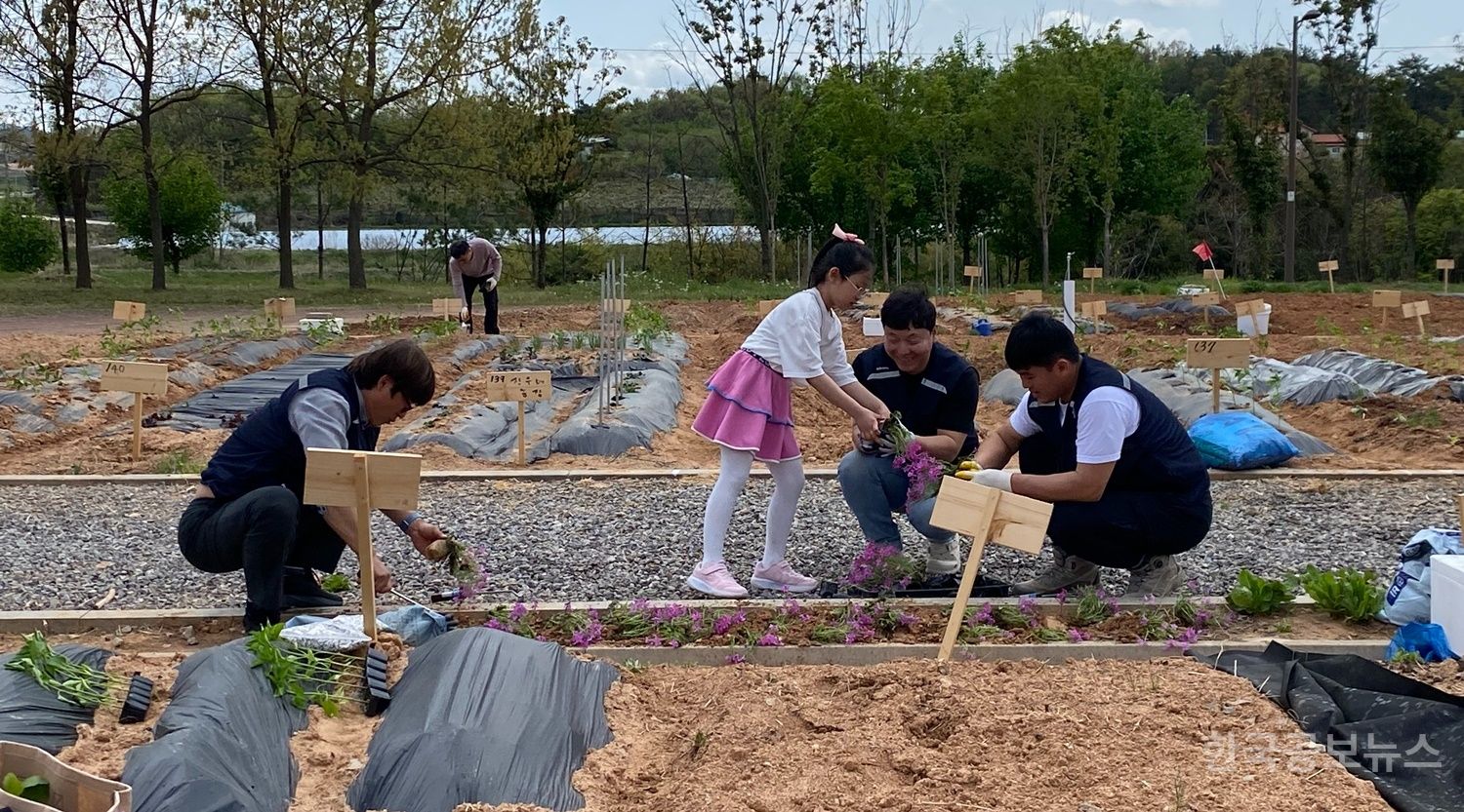 나주시 공영텃밭 개장 기사 사진