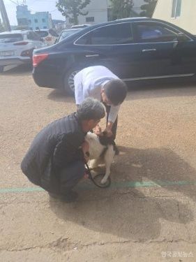 기사 사진
