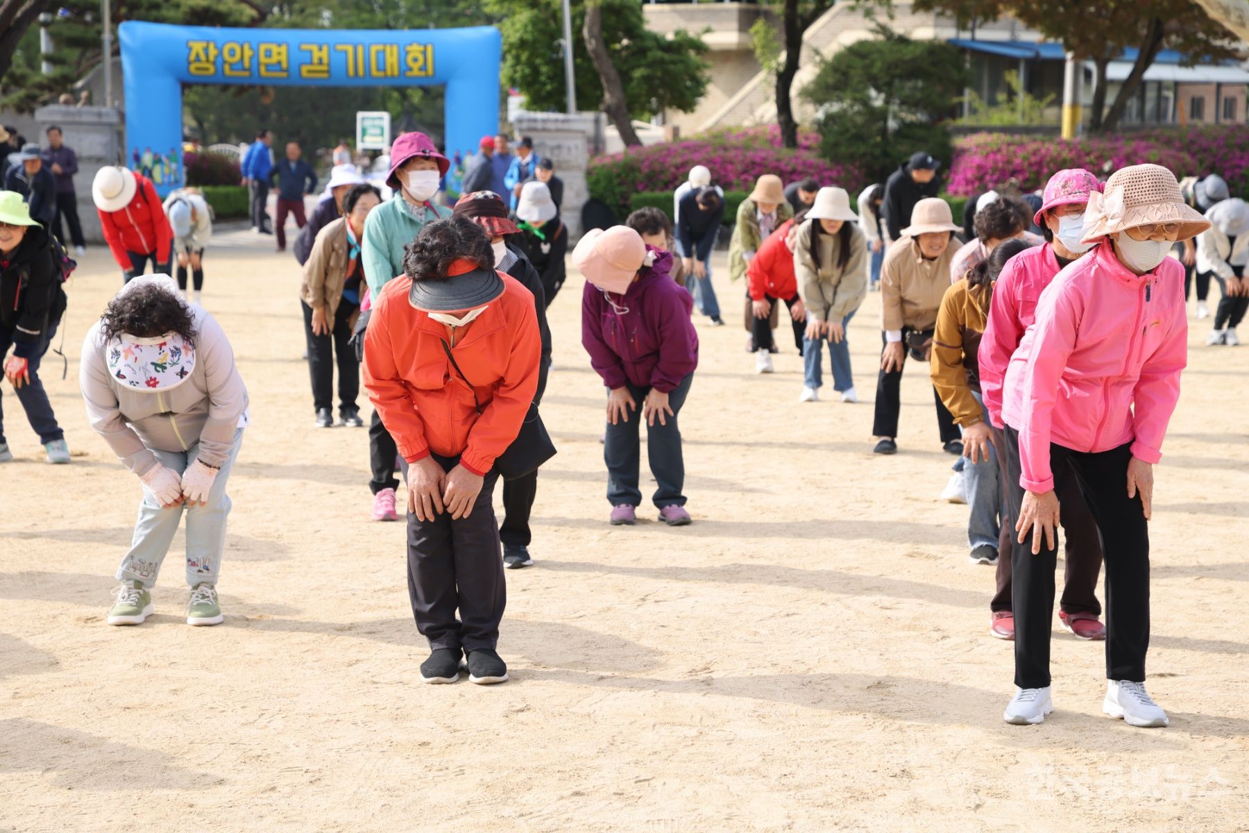 보은군민 건강 걷기 대회 상반기 마무리 기사 사진