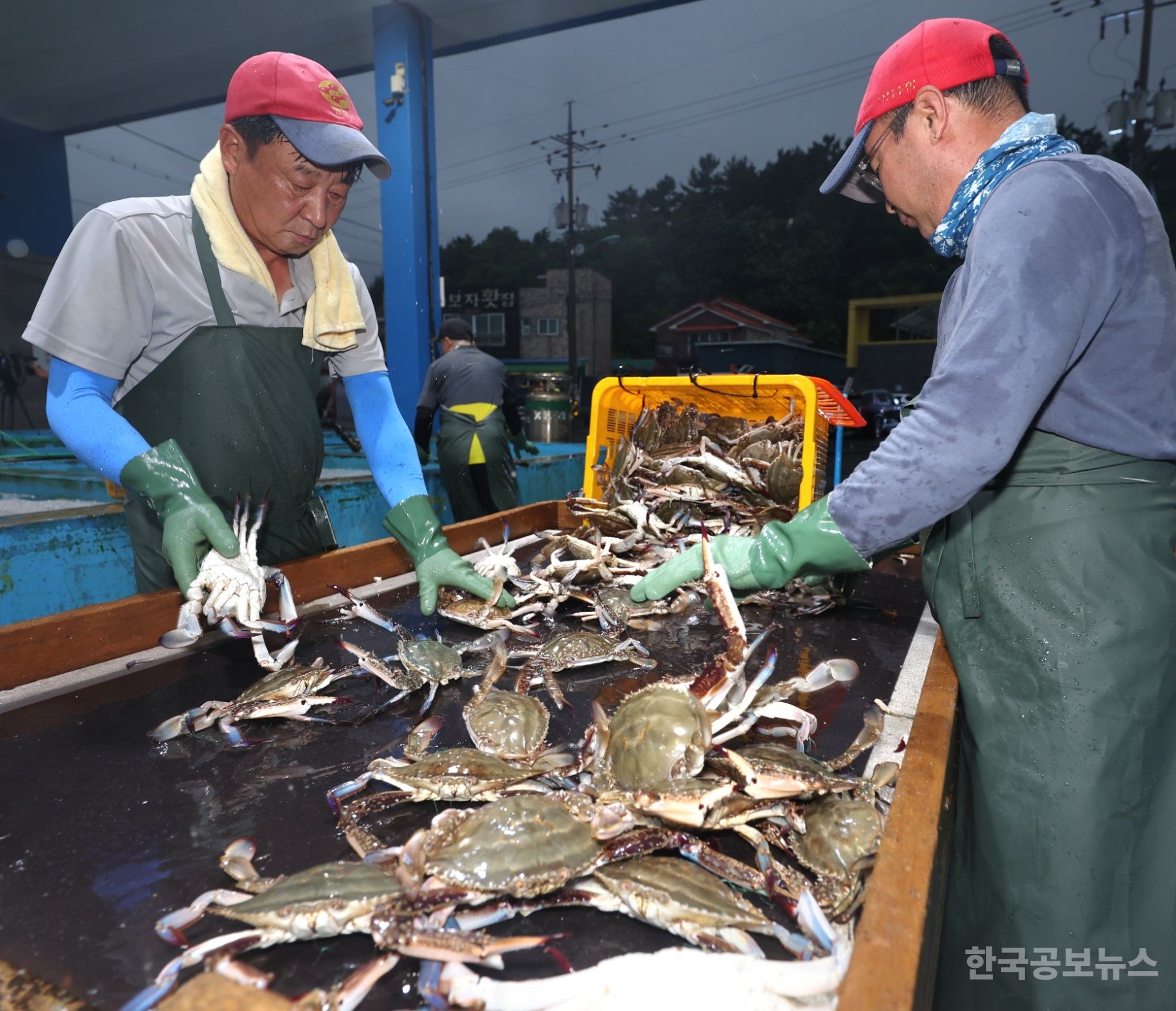 기사 사진