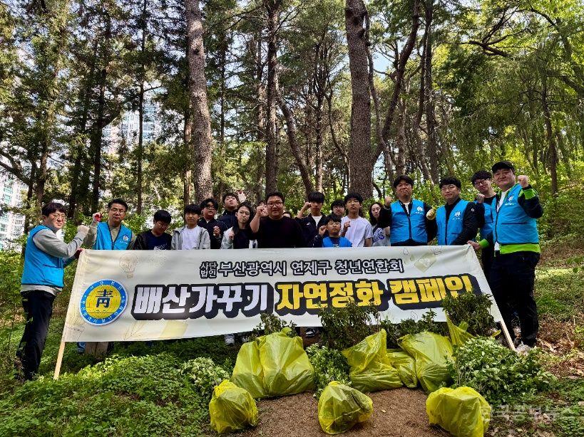 연제구, 청년연합회 '배산 가꾸기' 행사 실시 기사 사진