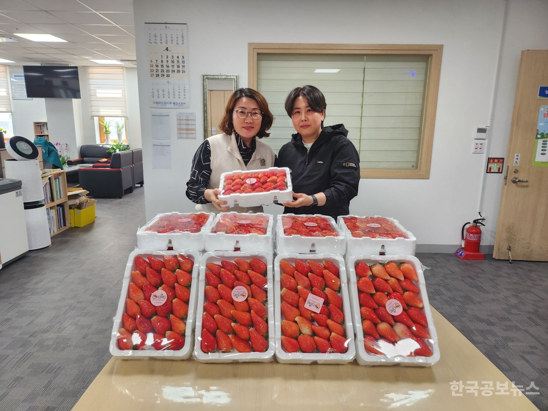 기사 사진