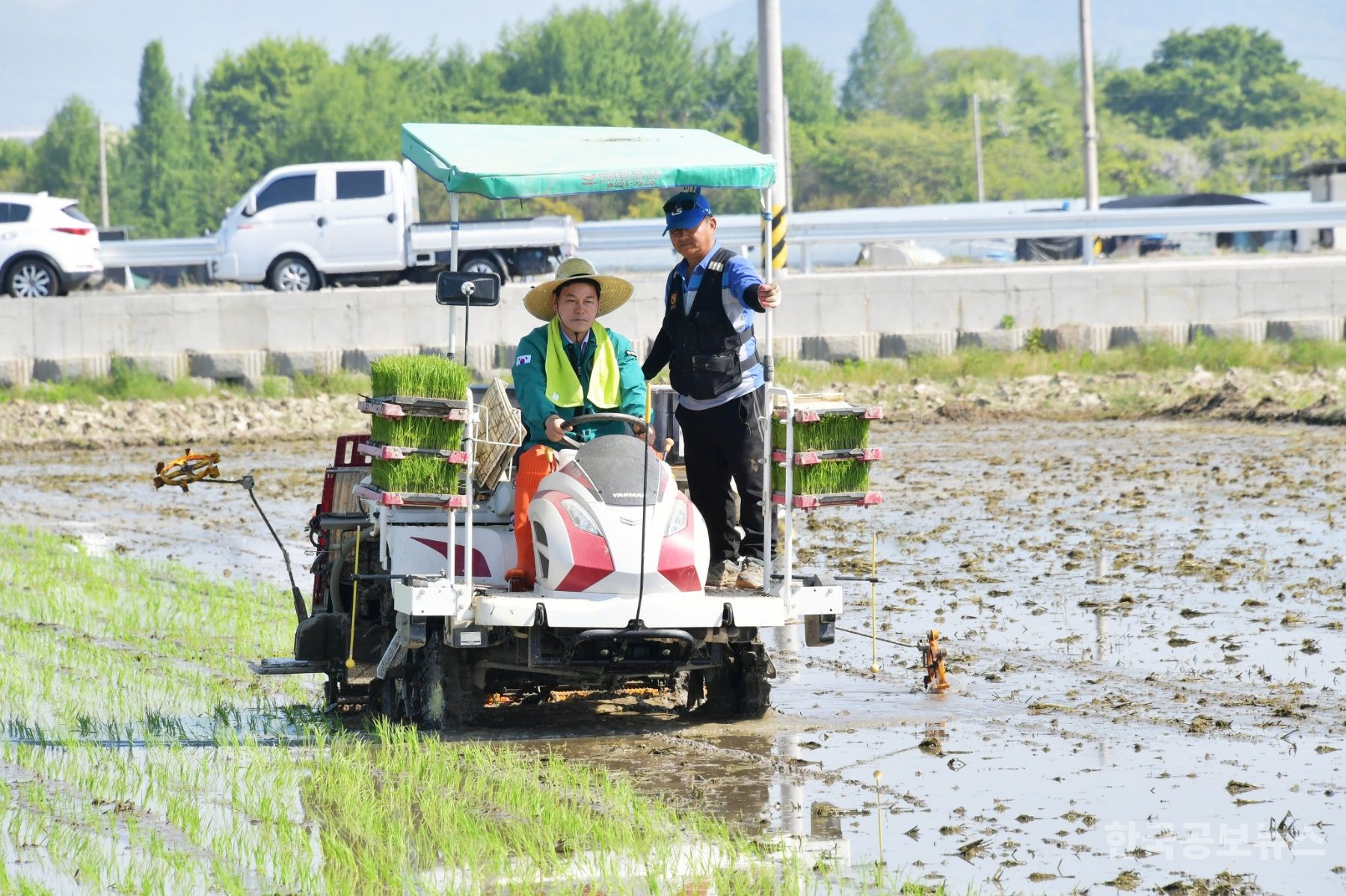 기사 사진