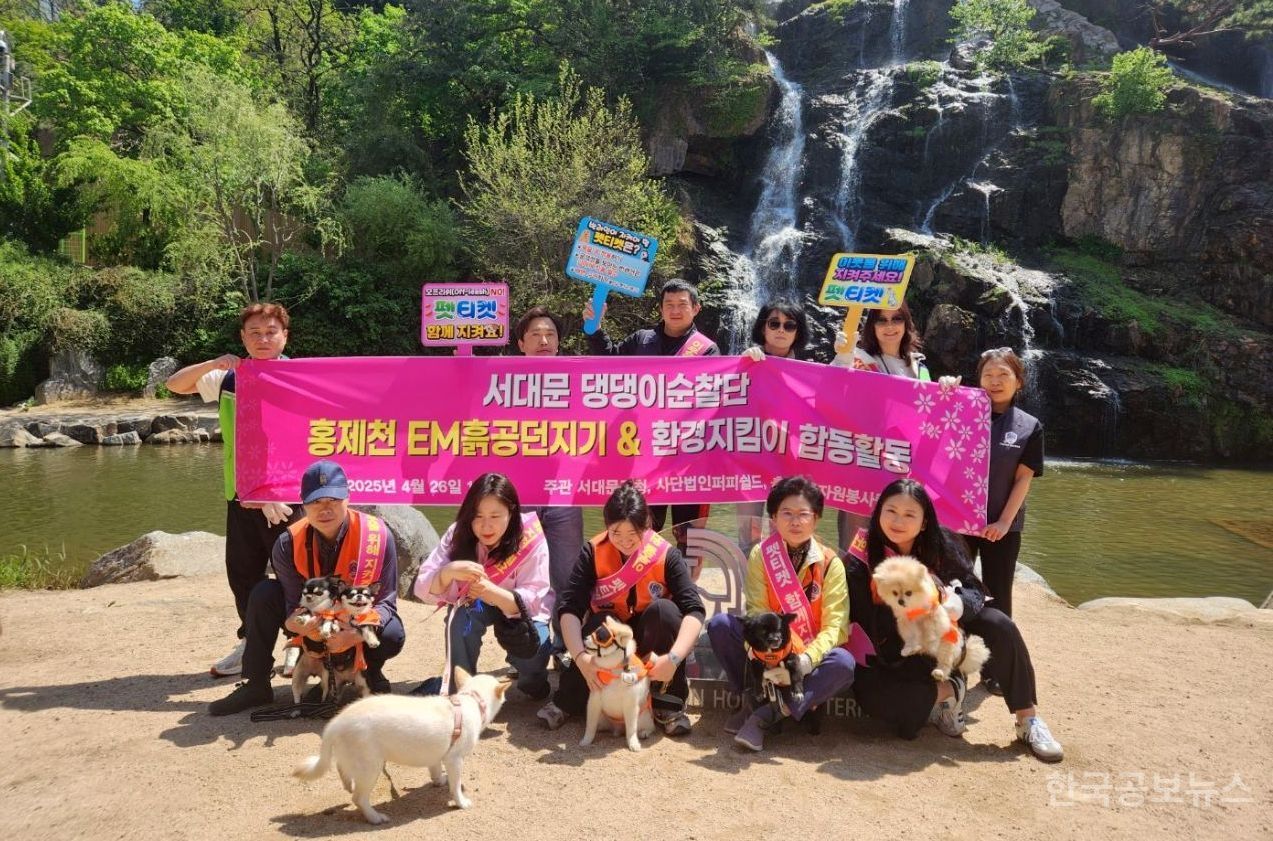서대문구 '제2기 댕댕이 순찰단' 5월 16일까지 공개 모집 기사 사진
