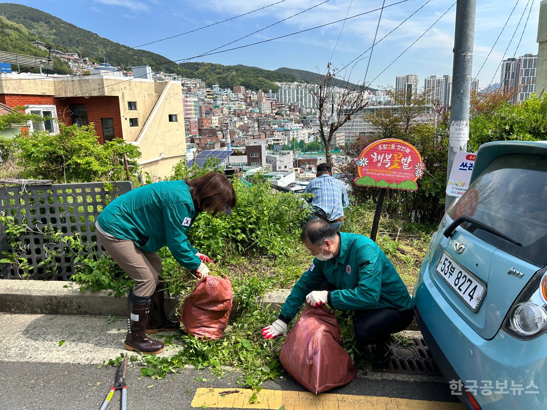기사 사진