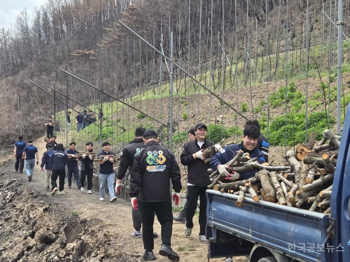 기사 사진