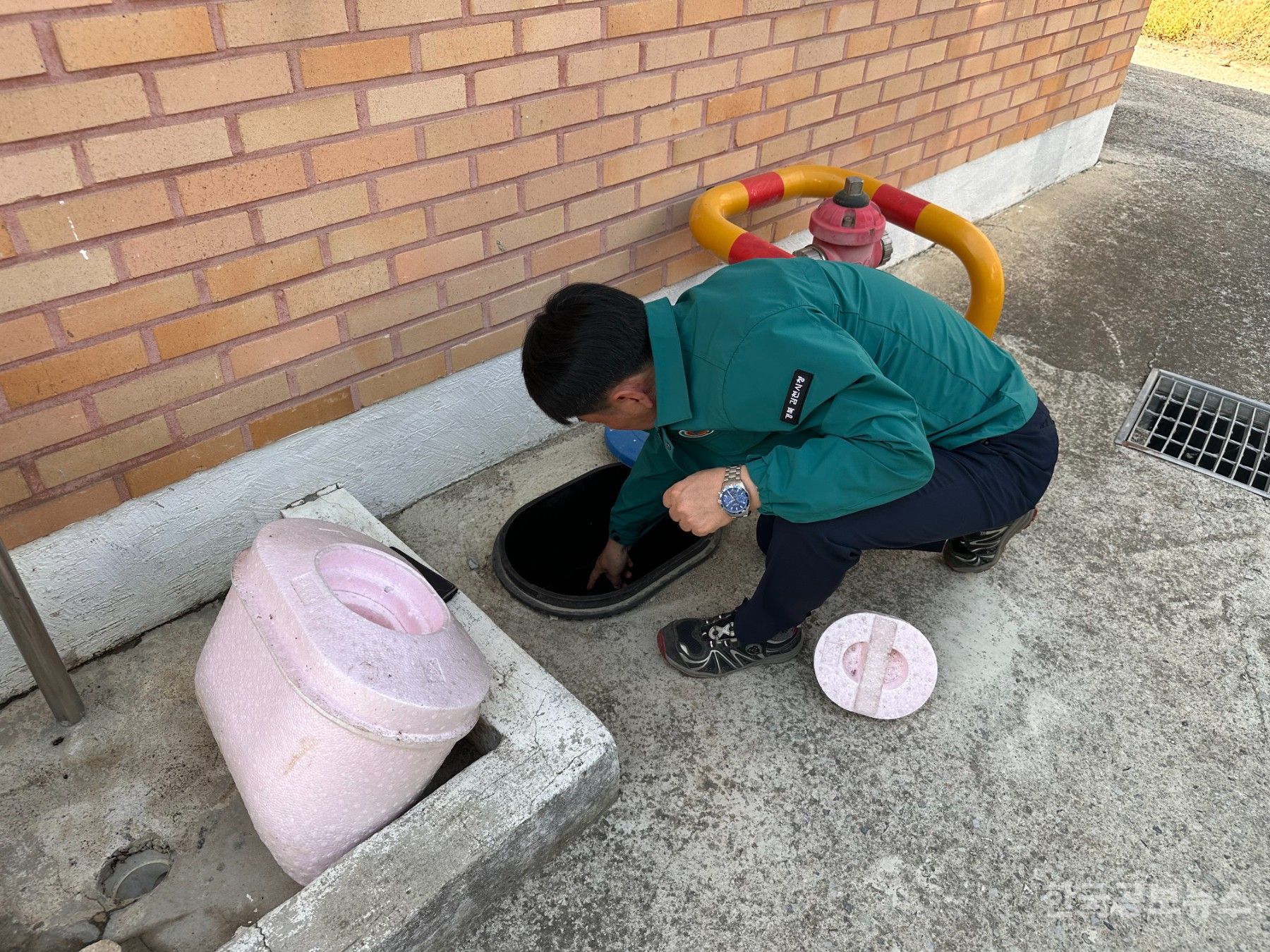 기사 사진