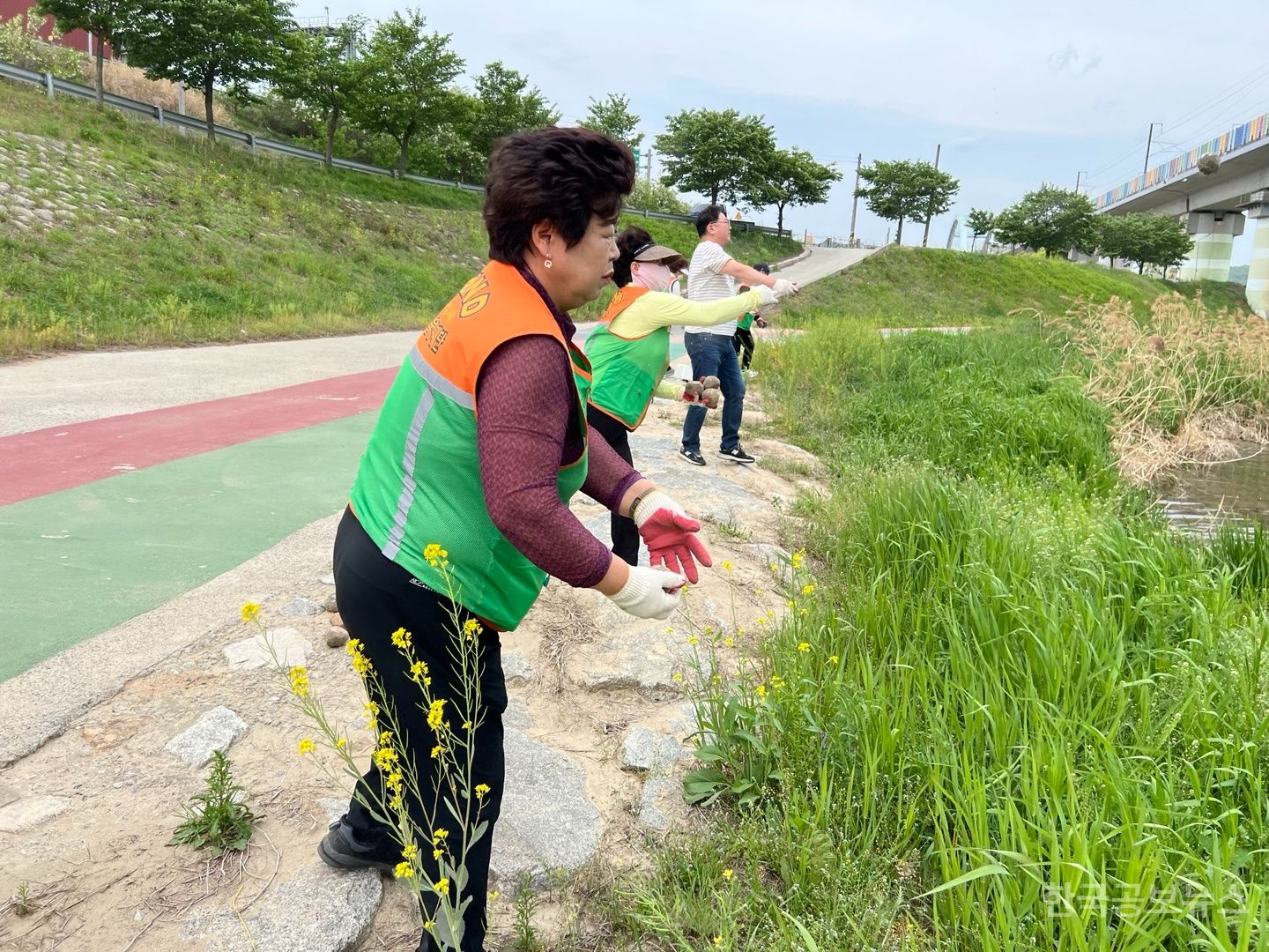 기사 사진