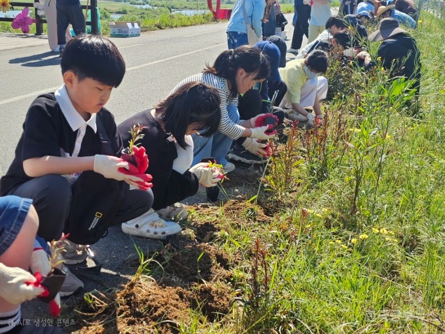 기사 사진