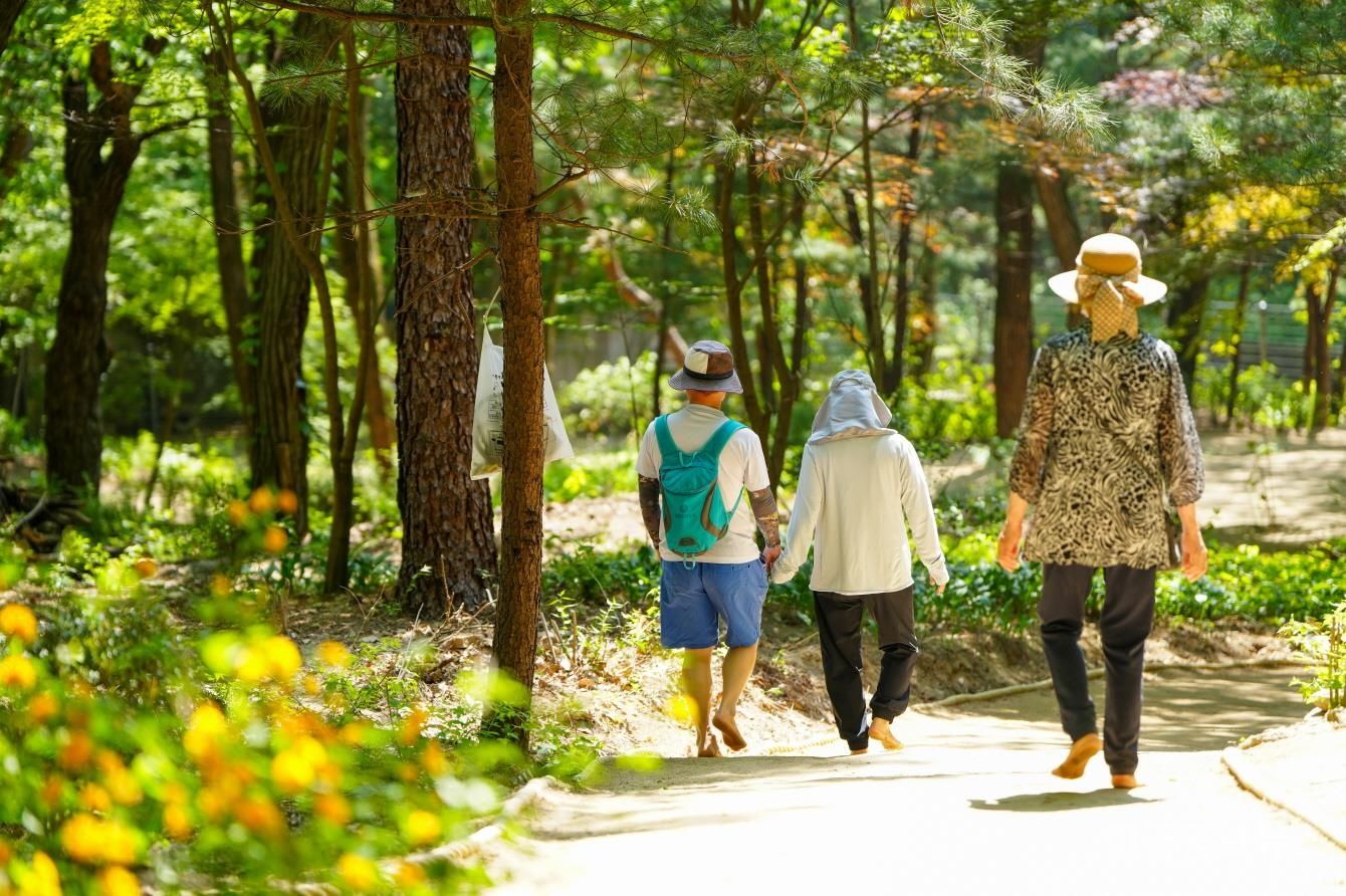 강북구, 북한산 품은 ‘산림치유 웰니스’ 도시로 도약 기사 사진