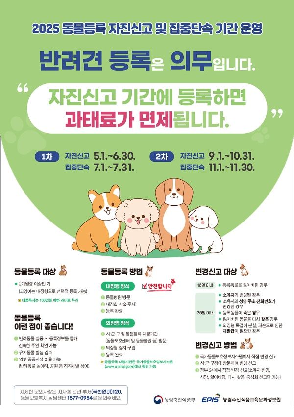 대구시, 반려견 동물등록 자진신고 기간 운영 기사 사진