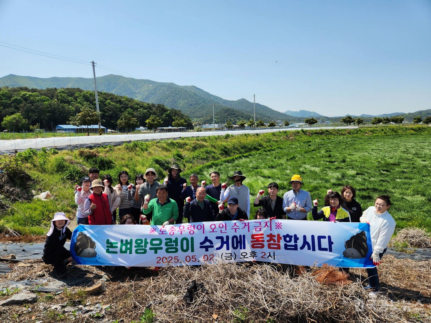기사 사진