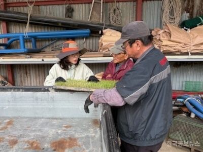 서천군, 휴일없는 벼 못자리 현장지원단 운영 기사 사진