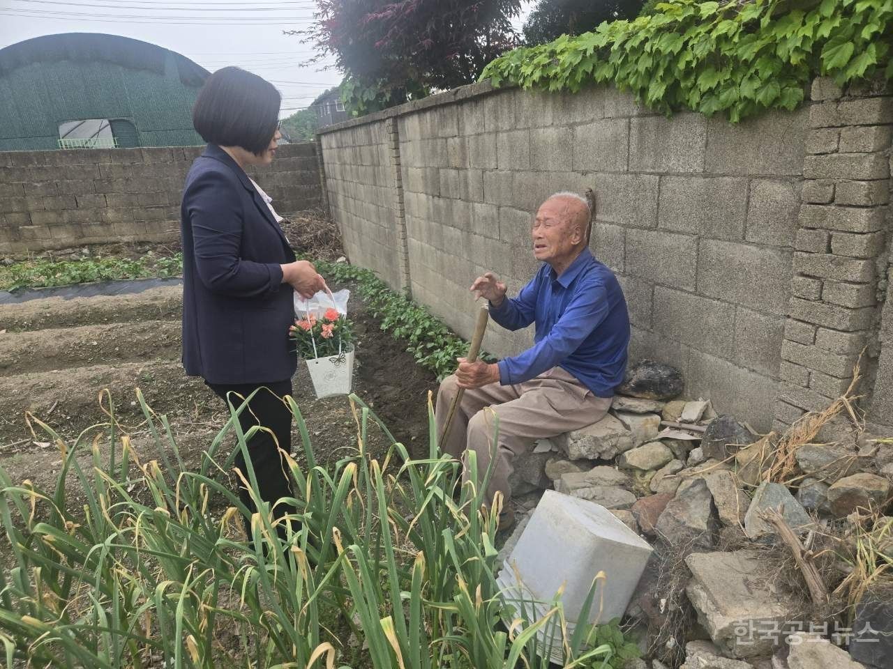 기사 사진