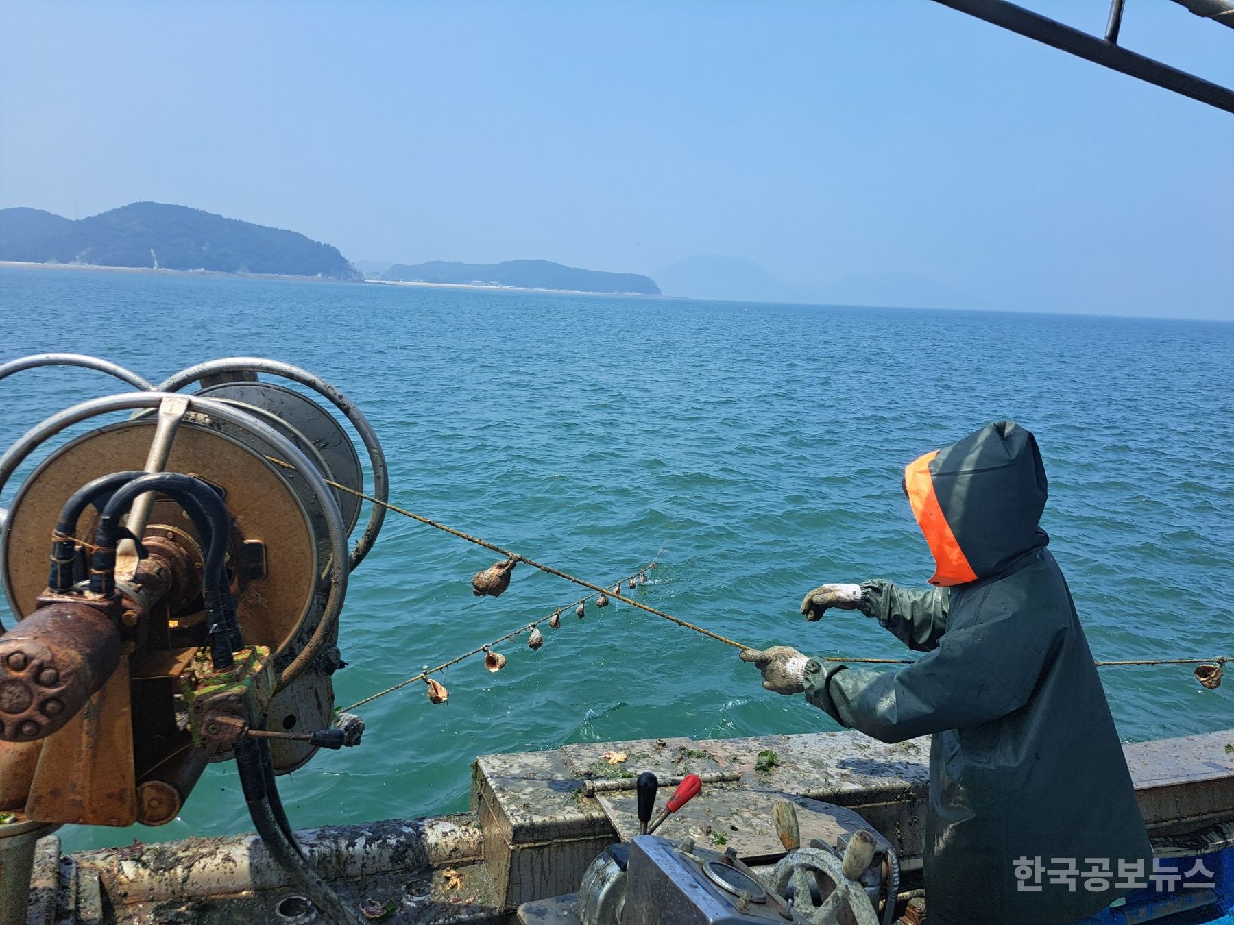 옹진군, 주꾸미 산란·서식장 조성 기사 사진