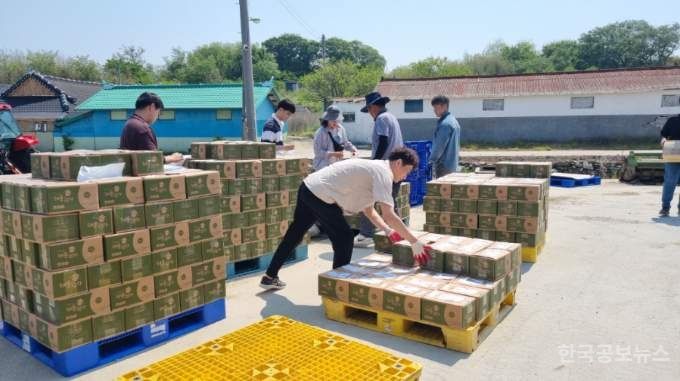 부안 동진면, 영농철 일손돕기 지원 기사 사진