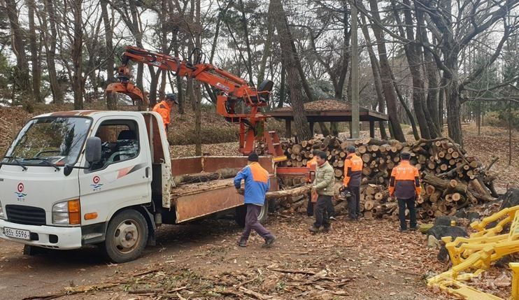 부안군, 지속 가능 산림경영 기반 구축 산림사업 추진 박차 기사 사진
