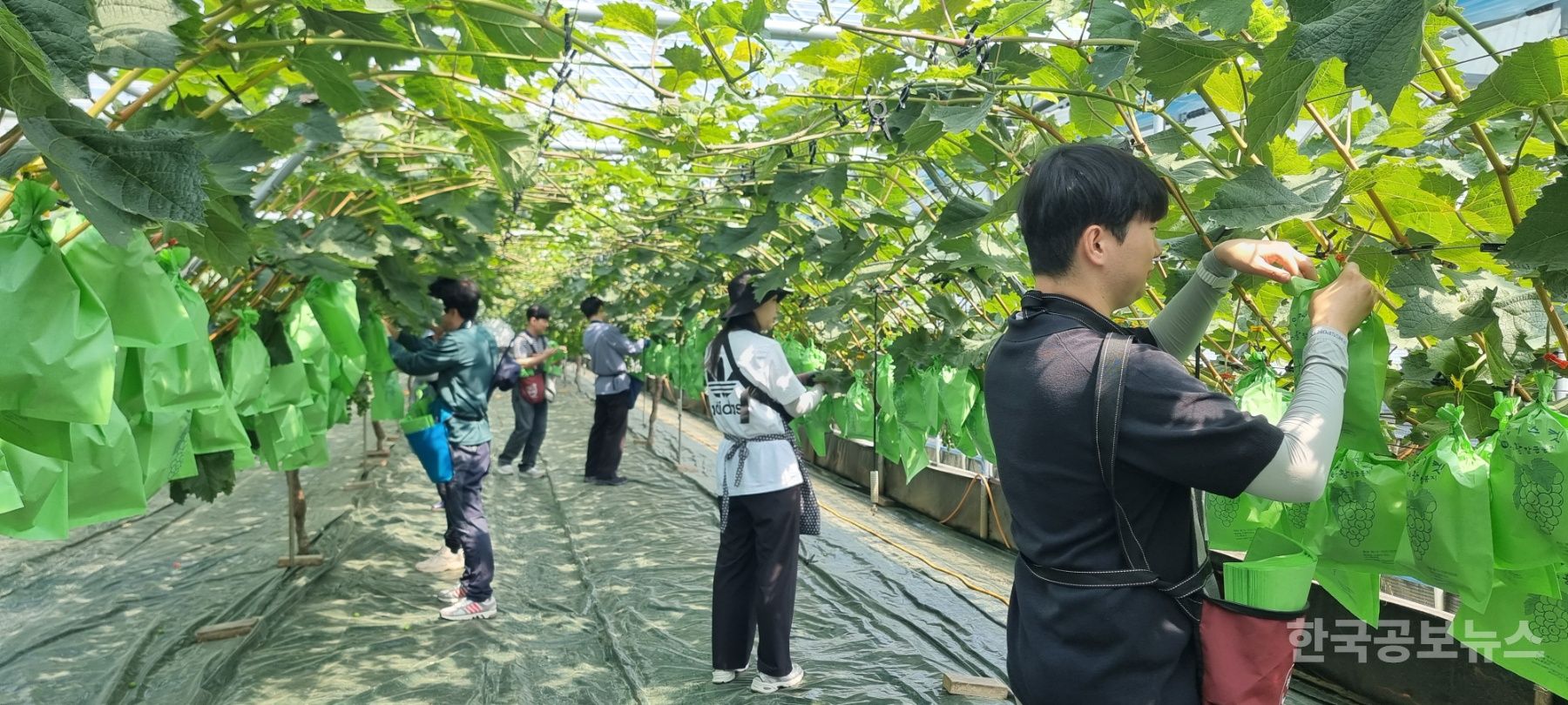 기사 사진
