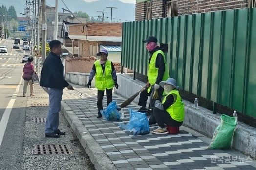 강진읍, 집중적인 환경정화 활동 펼친다 기사 사진