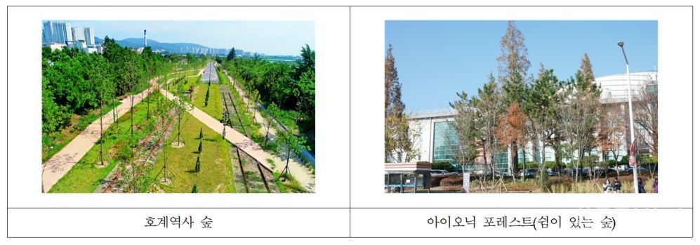 백년숲사회적협동조합, ‘울산숲 시민 공모전’ 개최 기사 사진