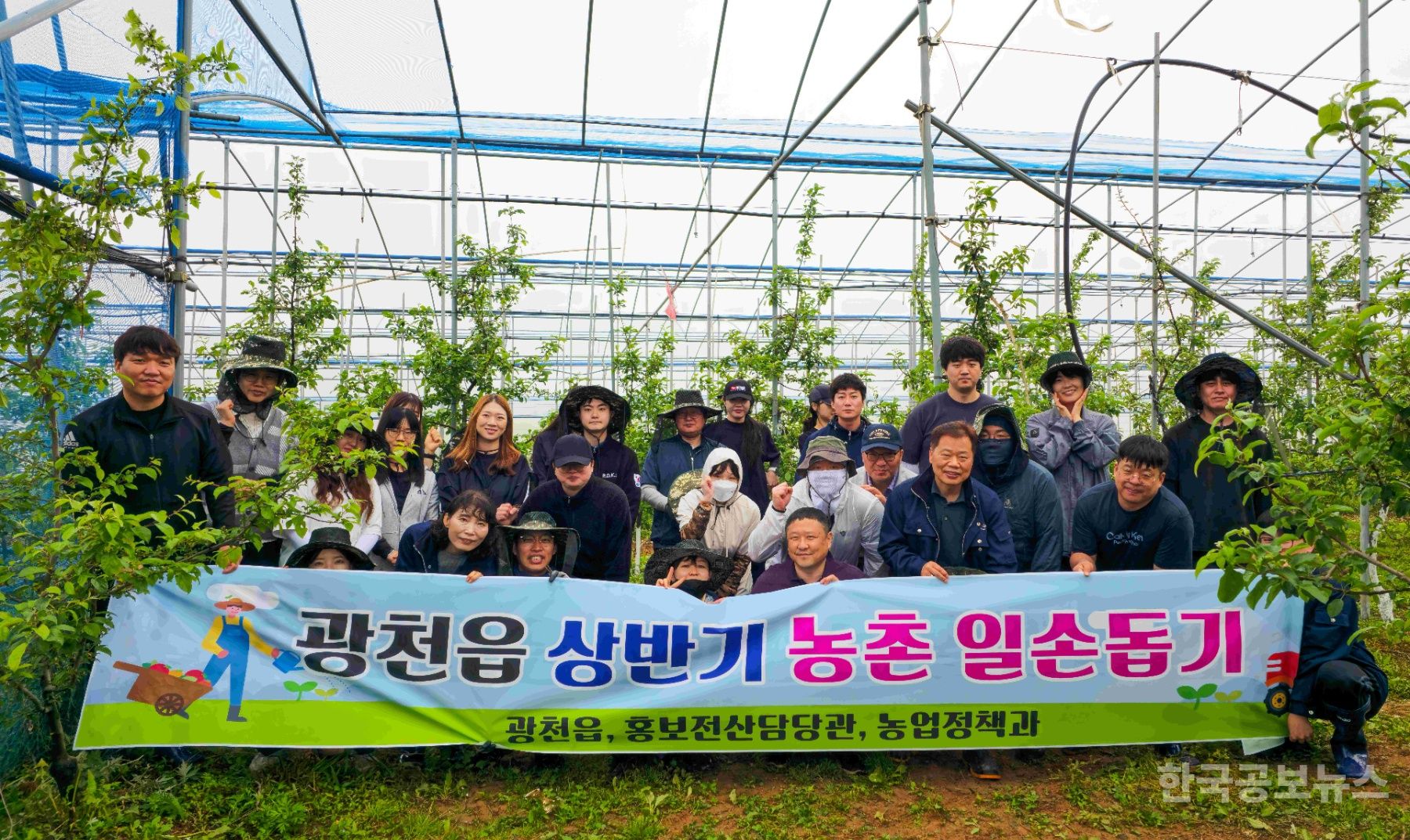 광천읍, 상반기 농촌일손돕기 실시 기사 사진