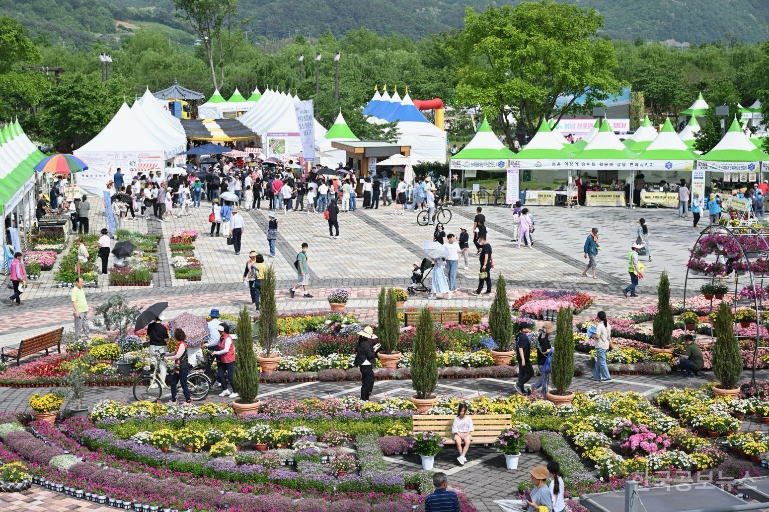기사 사진