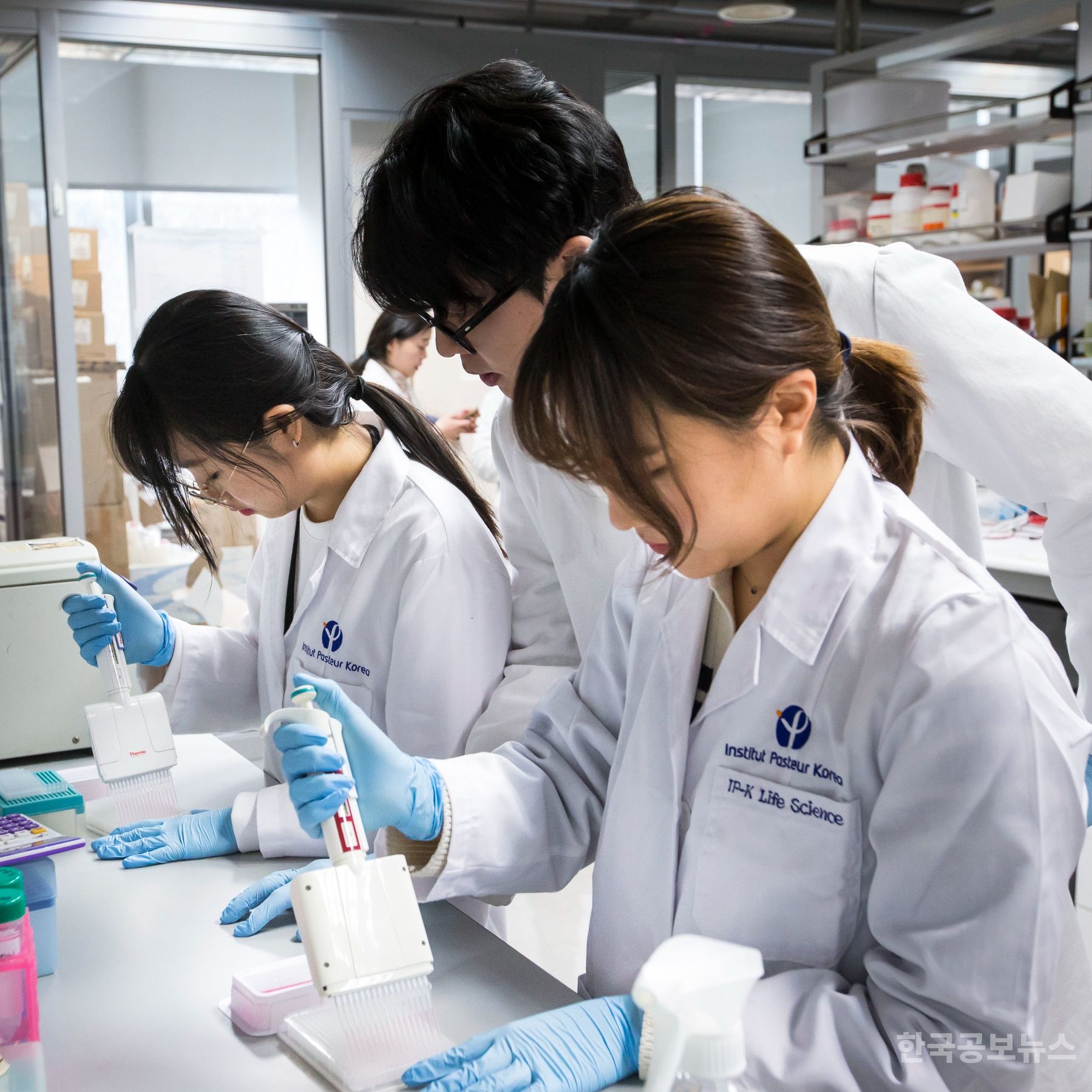 성남시, 2025년 하계 대학생 바이오 인턴십 참여 학생 모집 기사 사진
