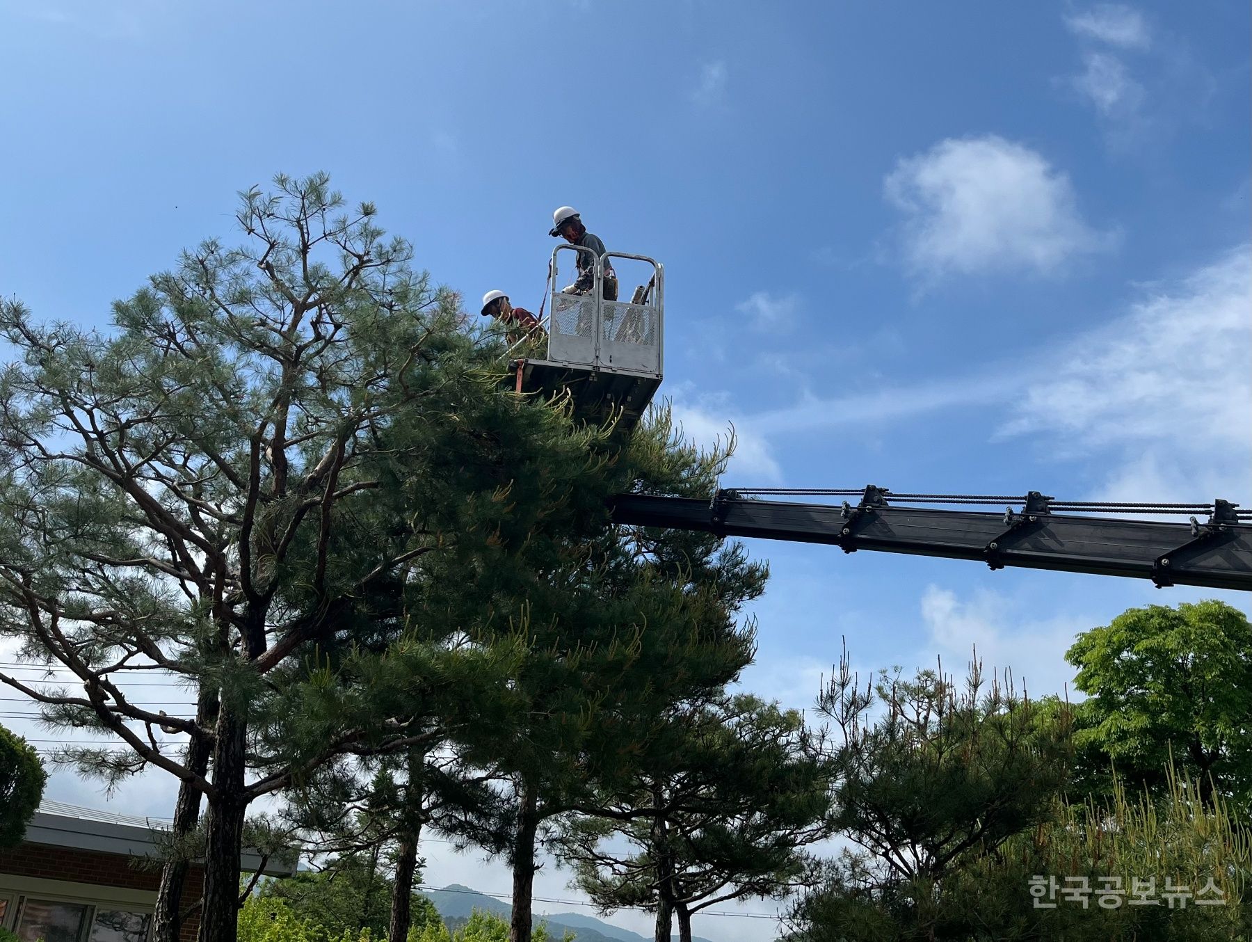 기사 사진
