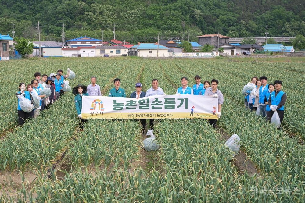 공주시, 농번기 농촌일손돕기 ‘한 번 더하기 운동’ 전개 기사 사진