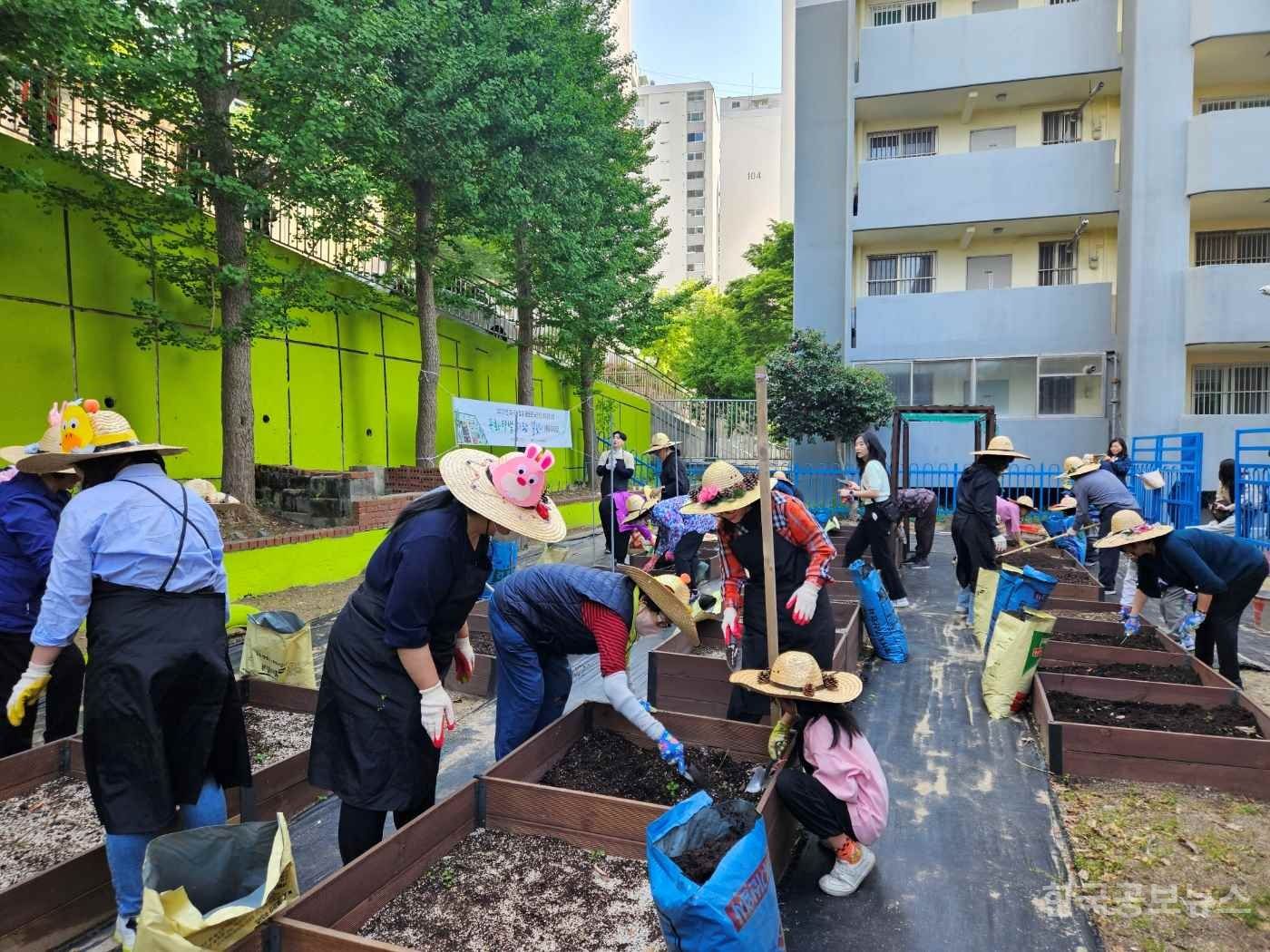 사상구, 도시농업을 활용한 노인 건강 강좌 ‘목화텃밭 사랑걸렸네’ 운영 기사 사진