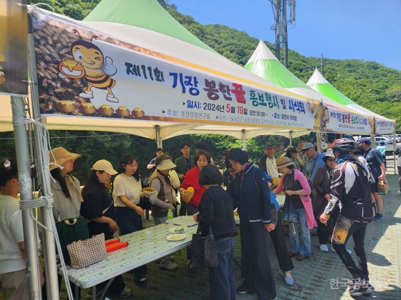 기장군, 2025년 기장 봉한꿀 홍보행사 개최 기사 사진