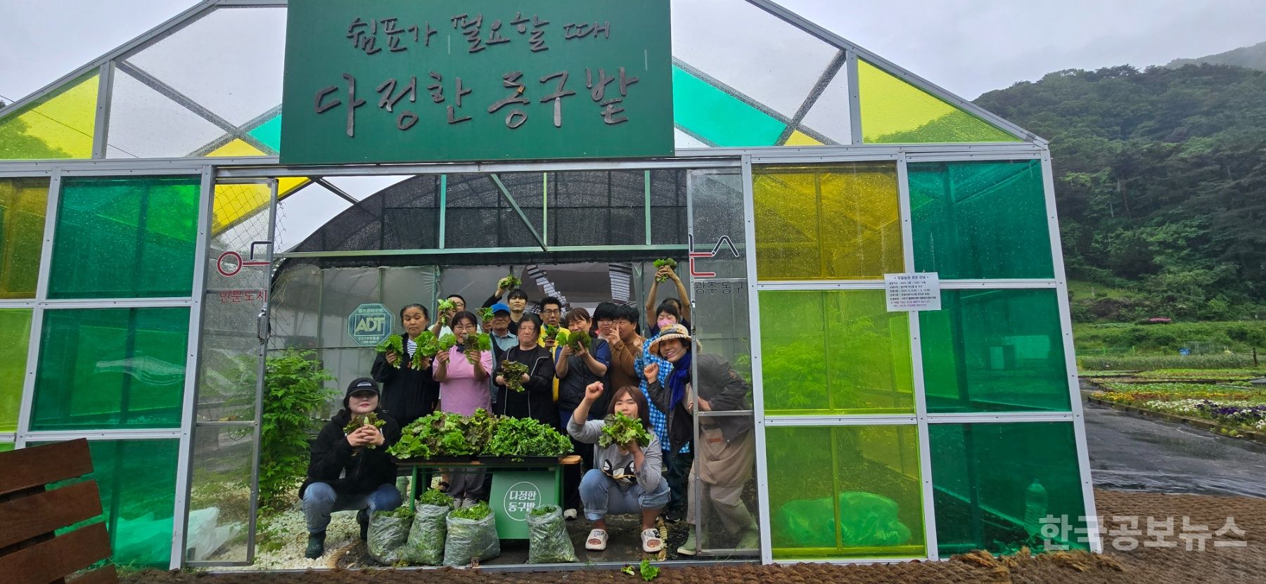 광주 동구, 건강한 먹거리 재배…‘도시 농부 활동가’ 본격 운영 기사 사진