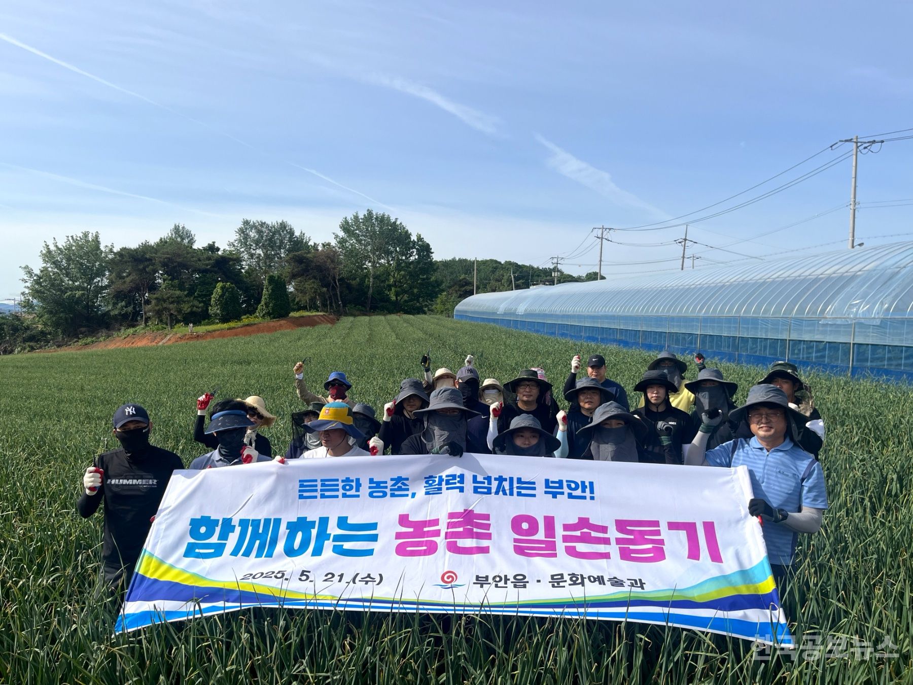 부안군, 영농철 맞아 마늘농가 일손돕기 실시 기사 사진