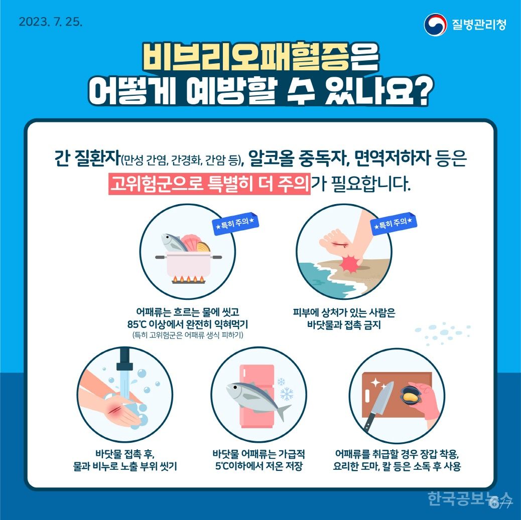 포항시, 비브리오패혈증 예방수칙 준수 당부 기사 사진