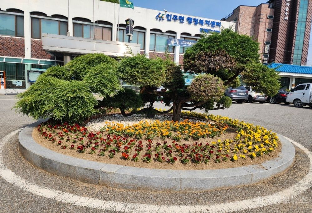 기사 사진