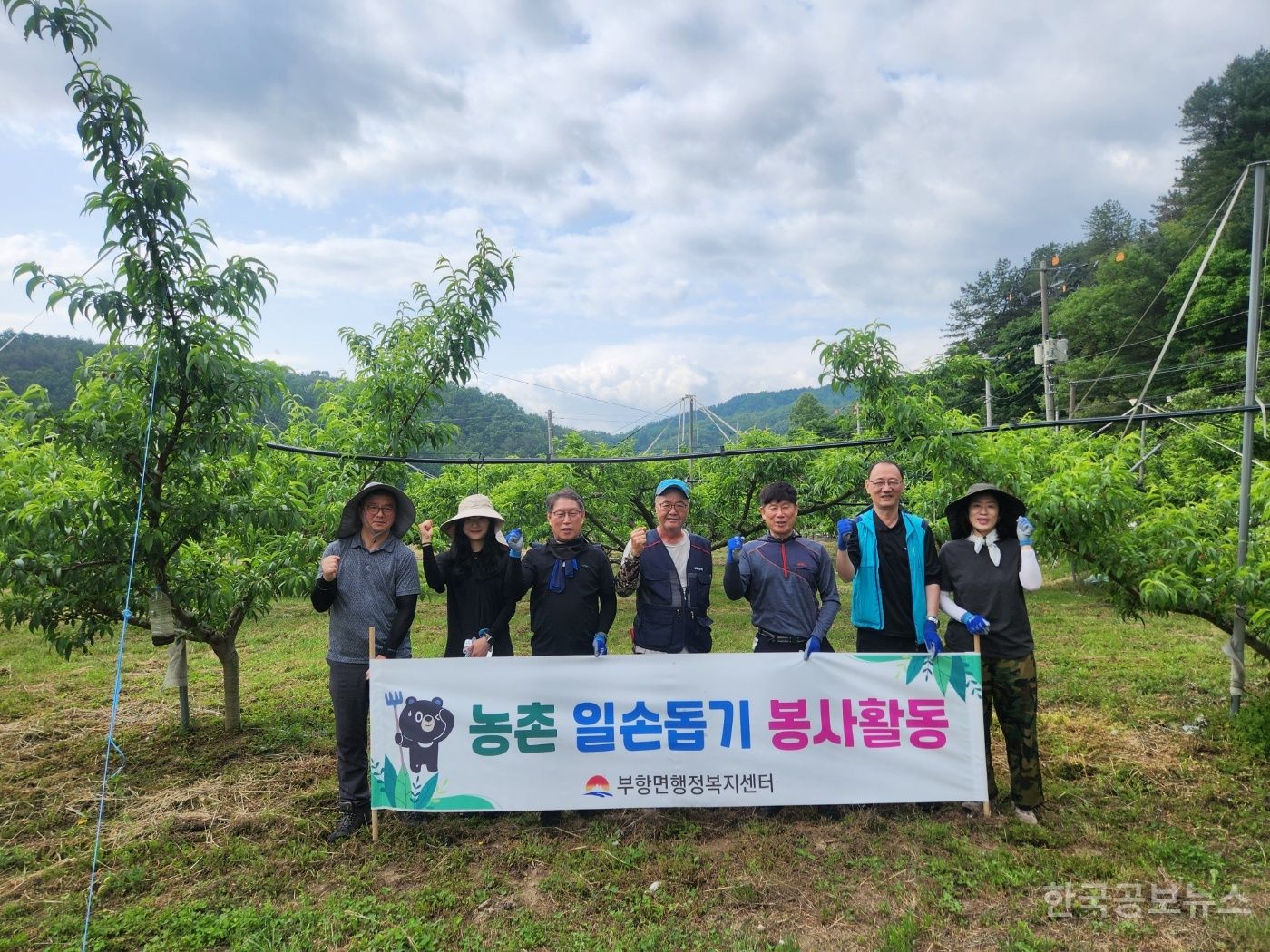 기사 사진