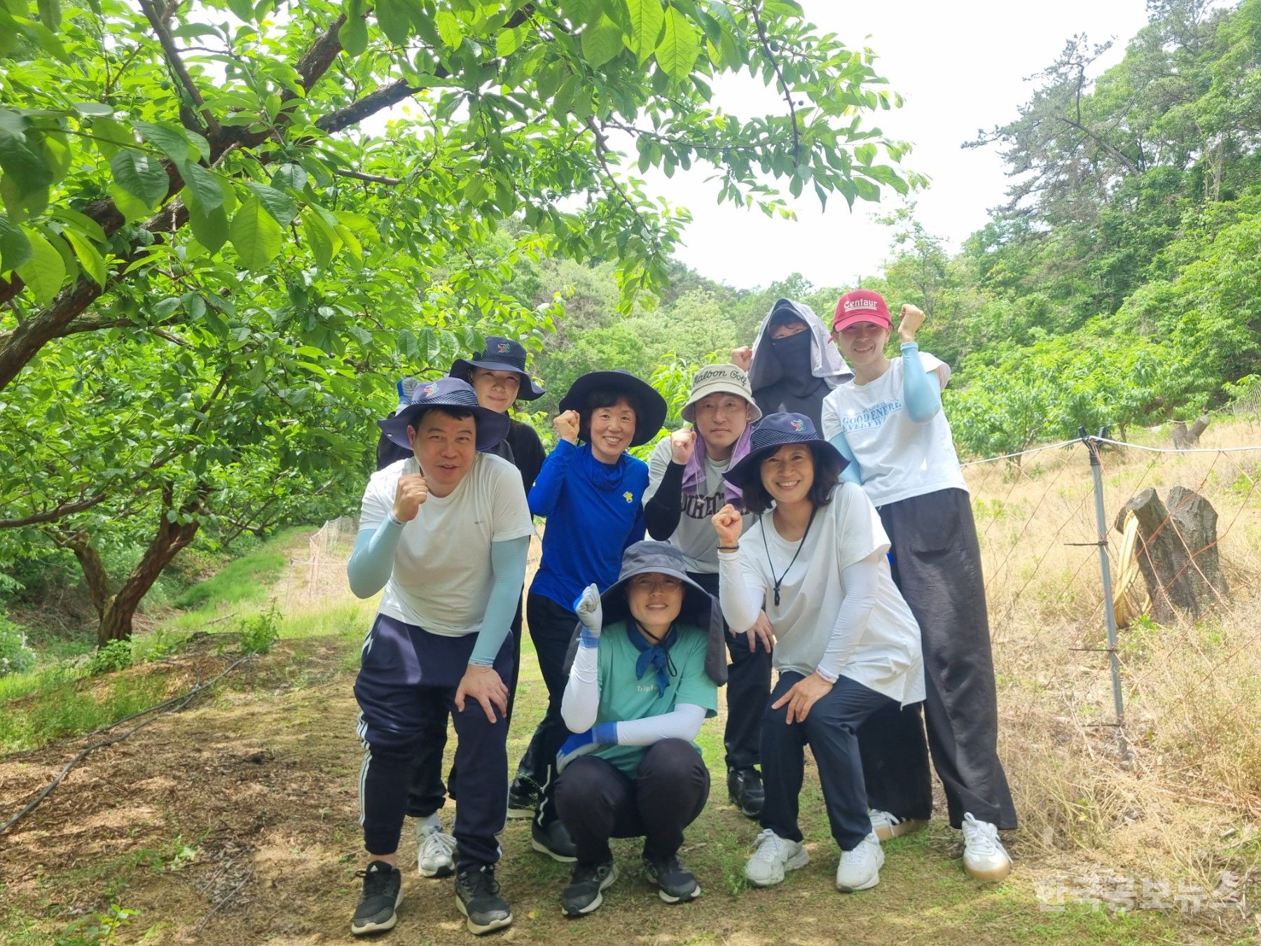 기사 사진
