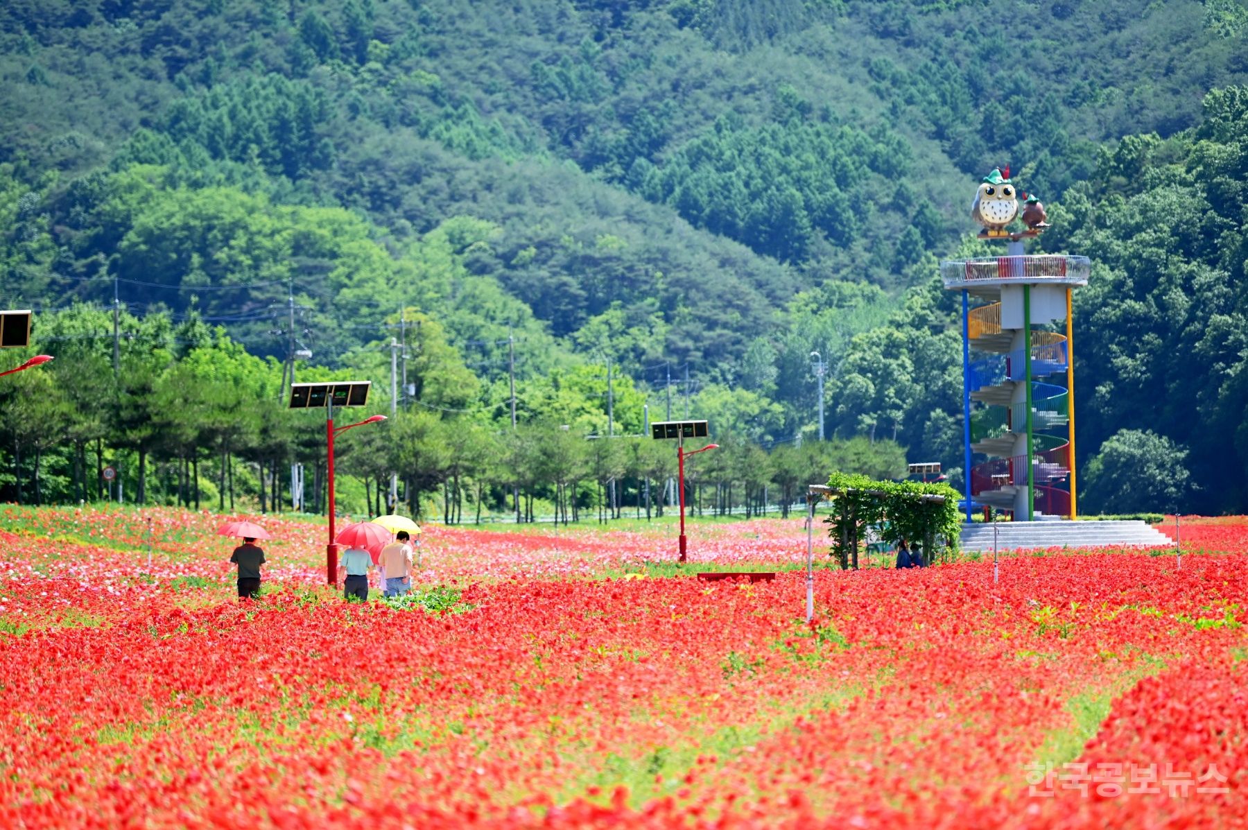 기사 사진