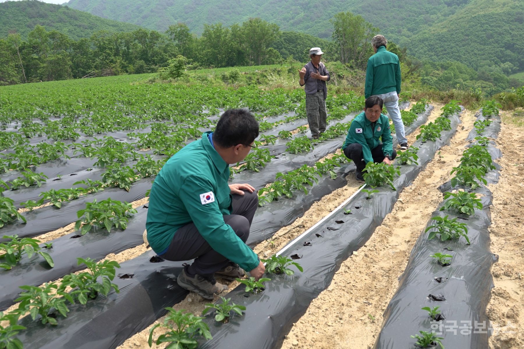 기사 사진