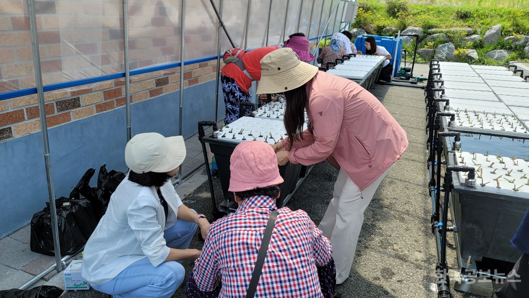 기사 사진